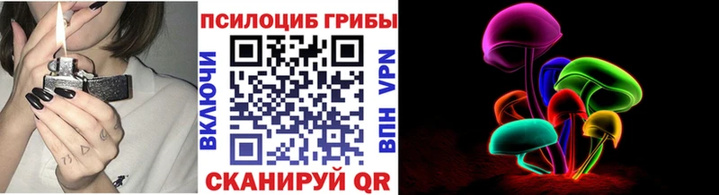 Псилоцибиновые грибы GOLDEN TEACHER  Севск 